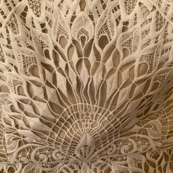 COPY - Never worn Badgley Mischka Lace Midi Dress - Picture 4 of 9